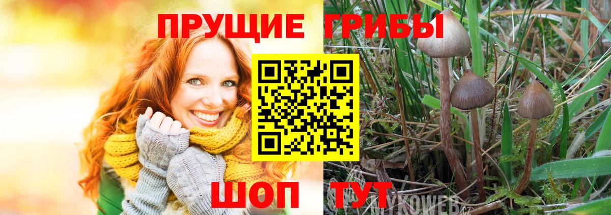 Галлюциногенные грибы мицелий Гусиноозёрск